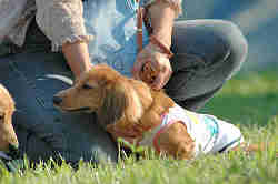 050918_sports_B-0763.jpg
