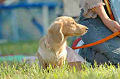 050918_sports_B-0767_thumb.png