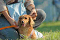 050918_sports_B-0775_thumb.png