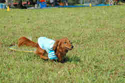 050918_sports_C-0789.jpg