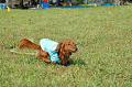 050918_sports_C-0789_thumb.png
