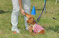 050918_sports_C-0815_thumb.png