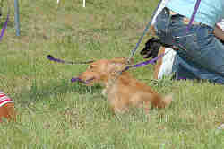 050918_sports_C-0816.jpg