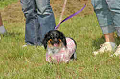 050918_sports_C-0818_thumb.png