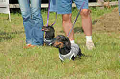 050918_sports_C-0819_thumb.png
