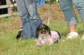 050918_sports_C-0820_thumb.png
