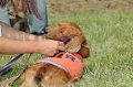 050918_sports_C-0827_thumb.png