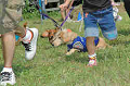050918_sports_C-0830_thumb.png