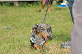 050918_sports_C-0833_thumb.png