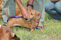 050918_sports_C-0834_thumb.png
