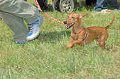 050918_sports_C-0837_thumb.png