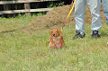 050918_sports_C-0841_thumb.png