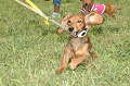 050918_sports_C-0845_thumb.png