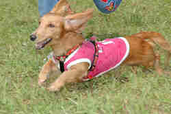 050918_sports_C-0846.jpg