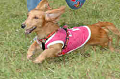050918_sports_C-0846_thumb.png