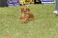 050918_sports_C-0855_thumb.png