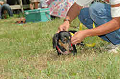 050918_sports_C-0857_thumb.png