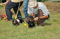 050918_sports_C-0859_thumb.png
