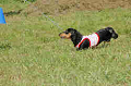 050918_sports_C-0862_thumb.png