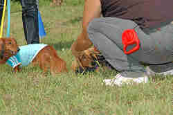 050918_sports_C-0864.jpg