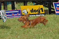 050918_sports_C-0867.jpg