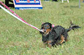 050918_sports_C-0868_thumb.png