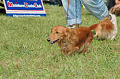 050918_sports_C-0869_thumb.png