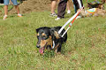 050918_sports_C-0872_thumb.png