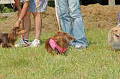 050918_sports_C-0873_thumb.png