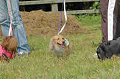 050918_sports_C-0874_thumb.png