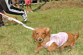 050918_sports_C-0875_thumb.png