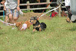 050918_sports_C-0876.jpg