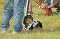 050918_sports_C-0878_thumb.png