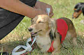 050918_sports_C-0880_thumb.png