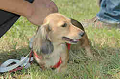 050918_sports_C-0881_thumb.png