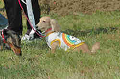 050918_sports_C-0882_thumb.png