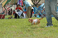 050918_sports_C-0886_thumb.png