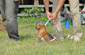 050918_sports_C-0888_thumb.png