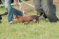 050918_sports_C-0890_thumb.png