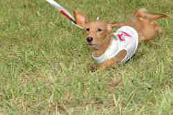 050918_sports_C-0891.jpg