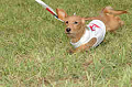 050918_sports_C-0891_thumb.png