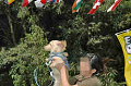 050918_sports_C-0894_thumb.png