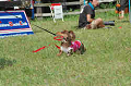 050918_sports_C-0902_thumb.png
