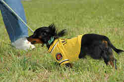 050918_sports_C-0903.jpg