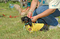 050918_sports_C-0904_thumb.png