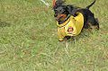 050918_sports_C-0905_thumb.png