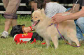 050918_sports_C-0906_thumb.png