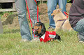 050918_sports_C-0910_thumb.png