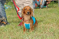 050918_sports_C-0913_thumb.png