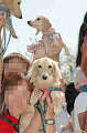 050918_sports_C-0924_thumb.png